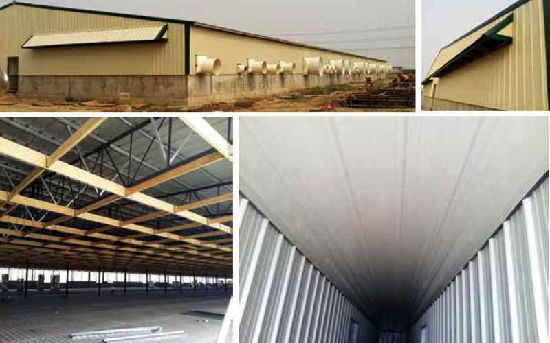 Baker Pig House Project